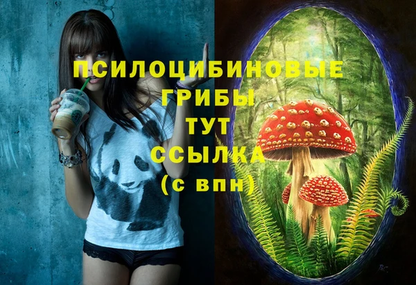 мет Нягань
