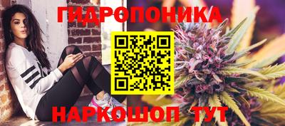 СК Балашиха