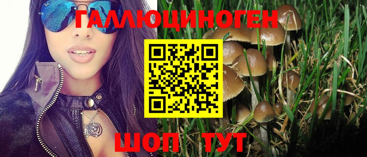 цена   Вход с VPN  Улан-Удэ  Галлюциногенные грибы ЛСД 