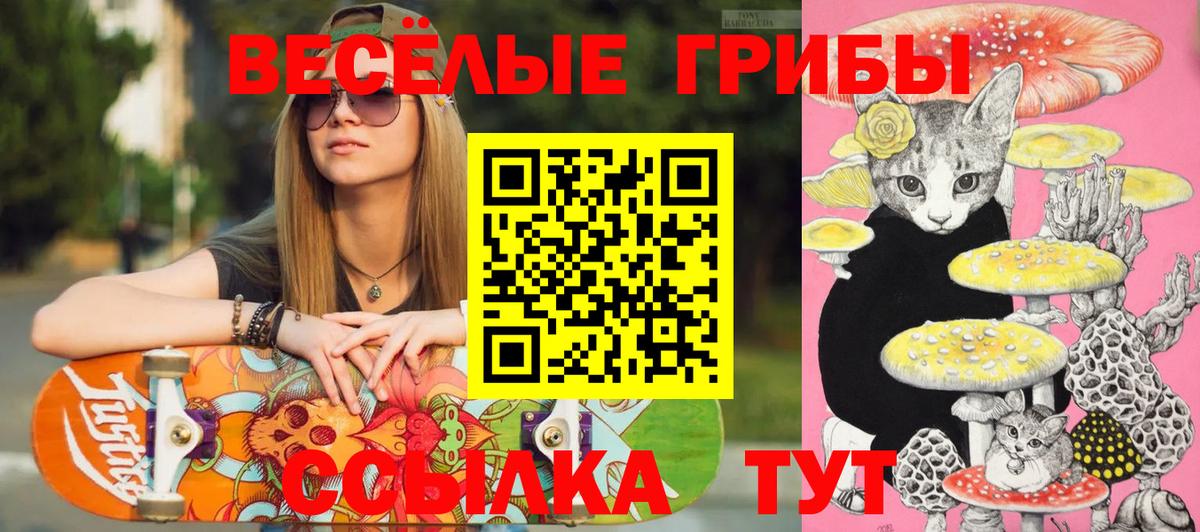 Псилоцибиновые грибы мицелий  Улан-Удэ 